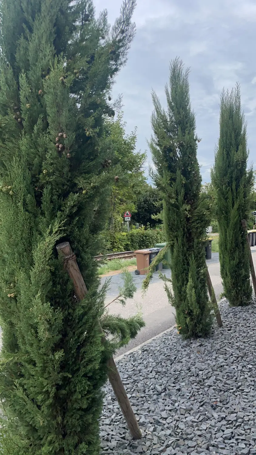 Garten Arbeit