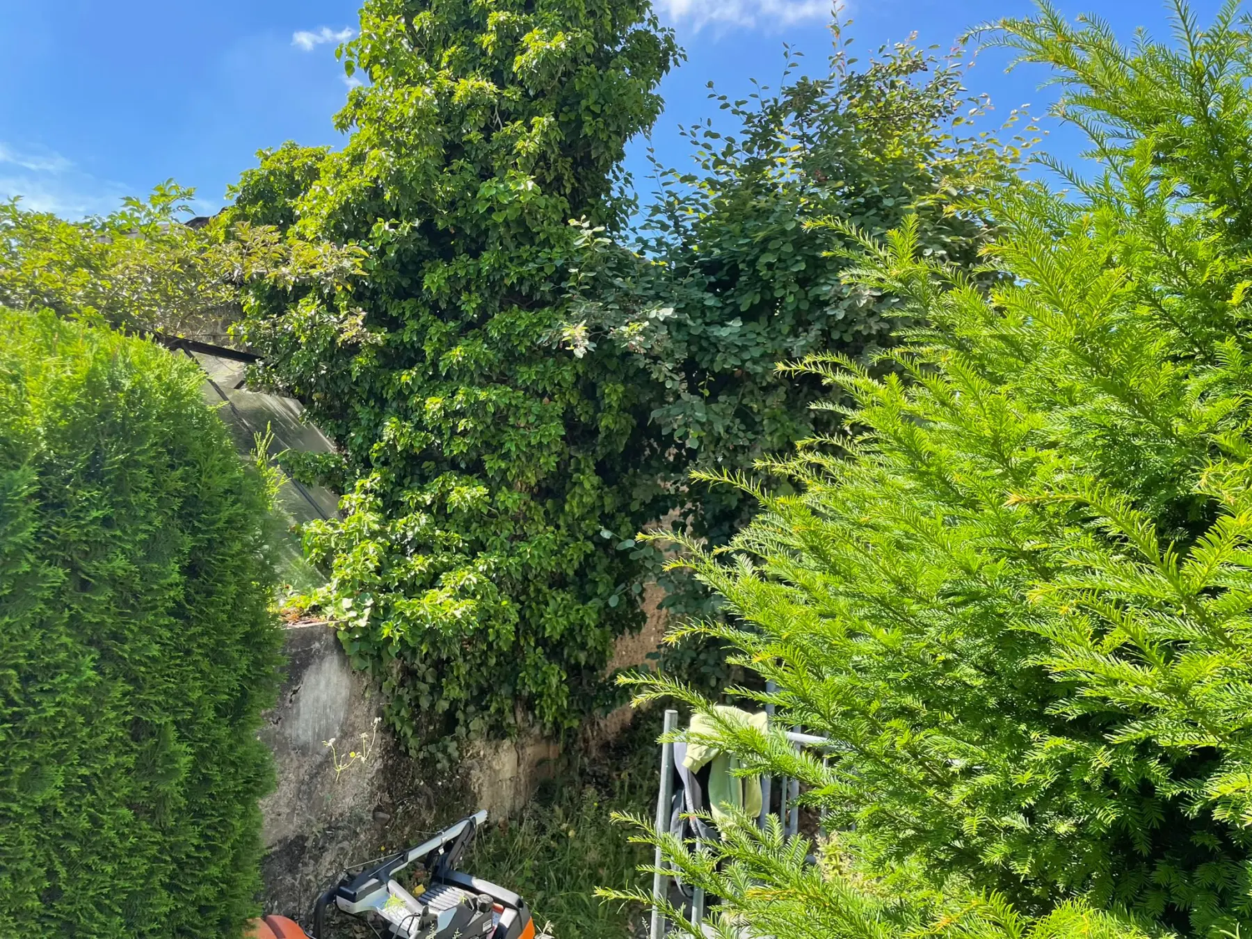 Garten beischnitt