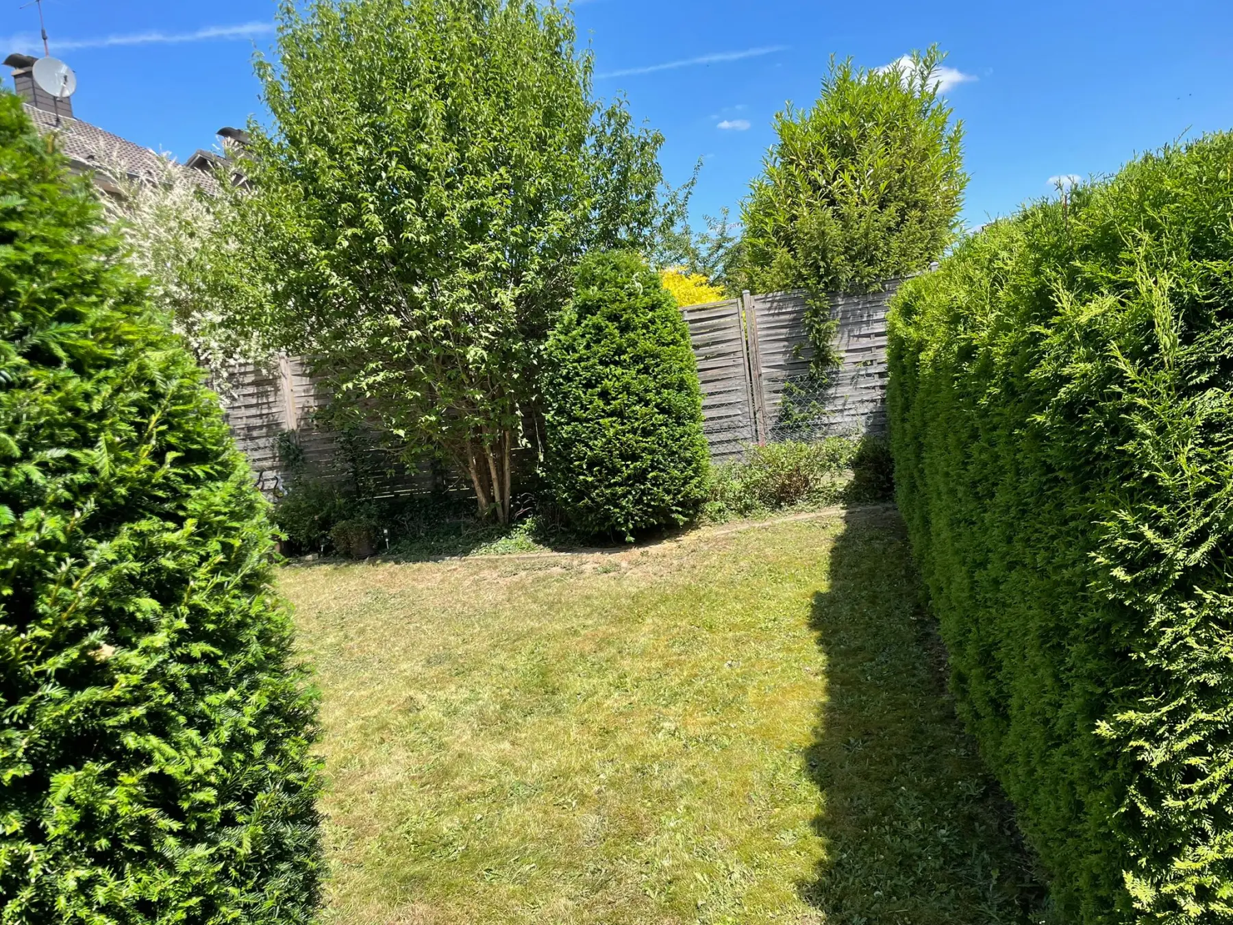 Garten beischnitt