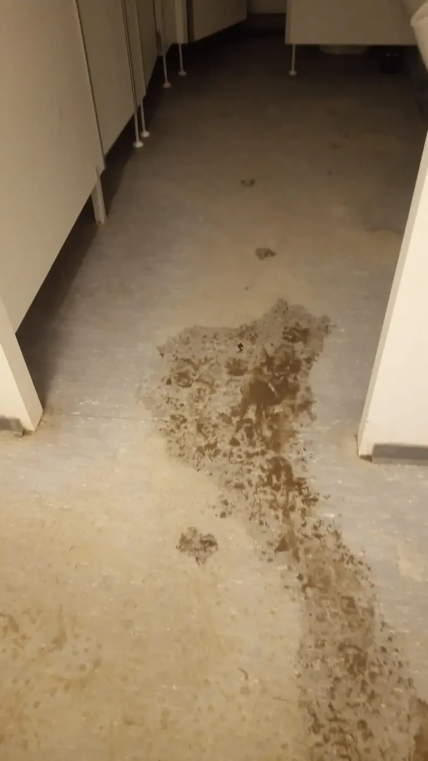 Baustellen Reinigung Toiletten und baucontainer