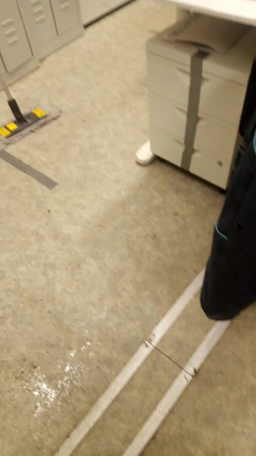 Baustellen Reinigung Toiletten und baucontainer